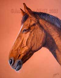 Bonnie tableau de cheval 24 x 30 cm portrait animalier dessin aux crayons